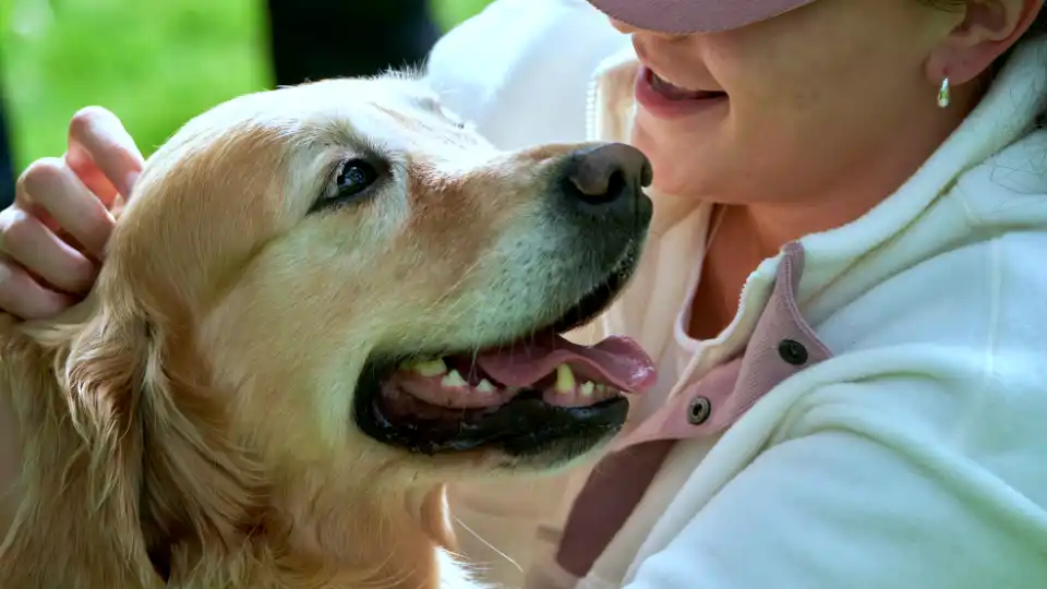 Perros para asistencia en personas con autismo